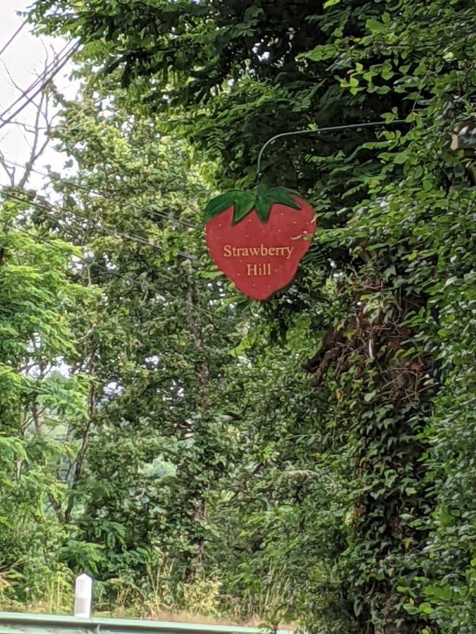 לינה וארוחת בוקר Chissey-en-Morvan Strawberry Hill מראה חיצוני תמונה